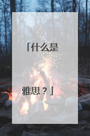什么是雅思?