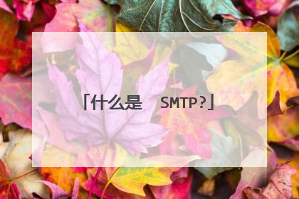 什么是  SMTP?