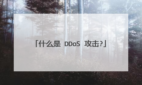 什么是 DDoS 攻击?