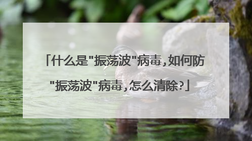 什么是