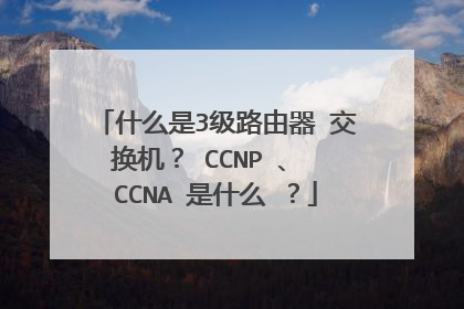 什么是3级路由器 交换机？ CCNP 、 CCNA 是什么 ？