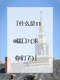什么是110端口?(求你们了)