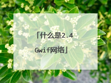 什么是2.4Gwif网络