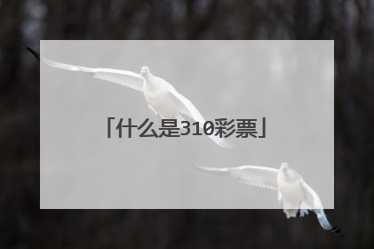 什么是310彩票