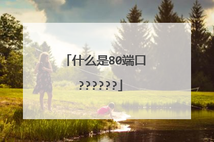 什么是80端口??????