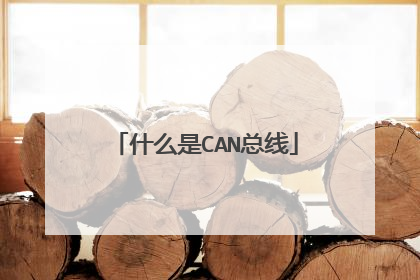 什么是CAN总线