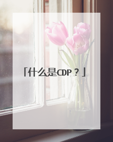 什么是CDP?