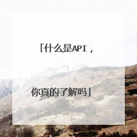 什么是API,你真的了解吗