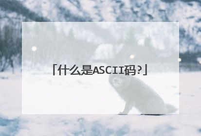 什么是ASCII码?