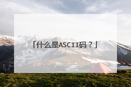 什么是ASCII码?