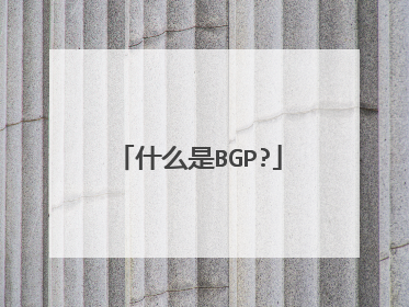 什么是BGP?