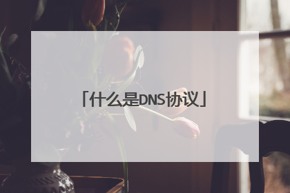 什么是DNS协议