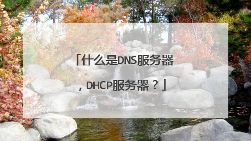 什么是DNS服务器，DHCP服务器？