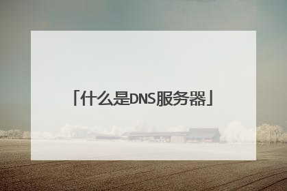 什么是DNS服务器