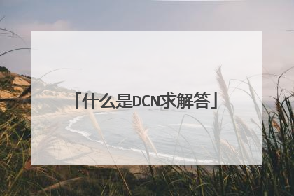 什么是DCN求解答