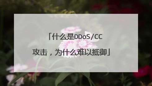 什么是DDoS/CC攻击，为什么难以抵御