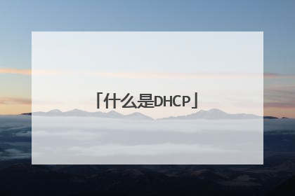 什么是DHCP