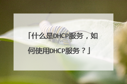 什么是DHCP服务，如何使用DHCP服务？