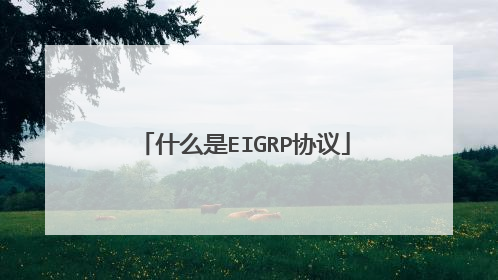 什么是EIGRP协议