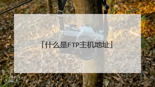 什么是FTP主机地址