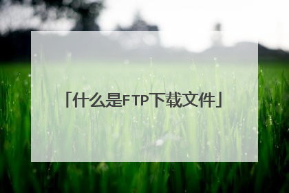 什么是FTP下载文件