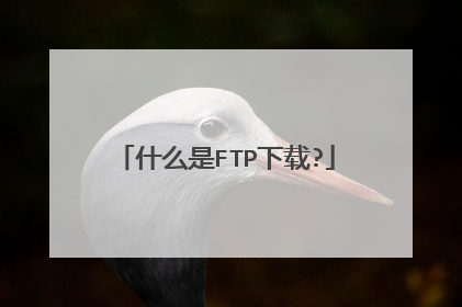 什么是FTP下载?