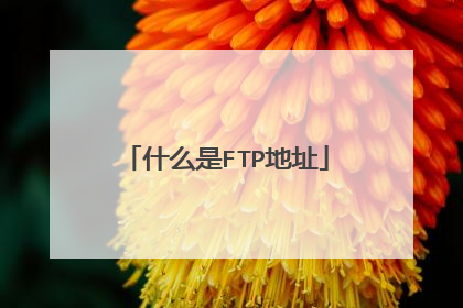 什么是FTP地址