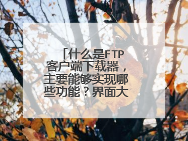 什么是FTP客户端下载器,主要能够实现哪些功能?界面大概是怎样的?