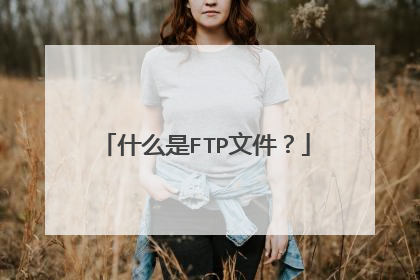 什么是FTP文件？
