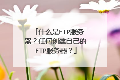 什么是FTP服务器?任何创建自己的FTP服务器?