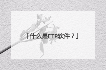 什么是FTP软件？