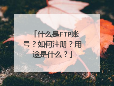 什么是FTP账号?如何注册?用途是什么?