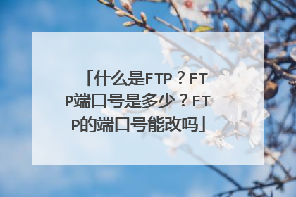 什么是FTP？FTP端口号是多少？FTP的端口号能改吗
