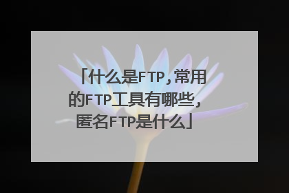 什么是FTP,常用的FTP工具有哪些,匿名FTP是什么