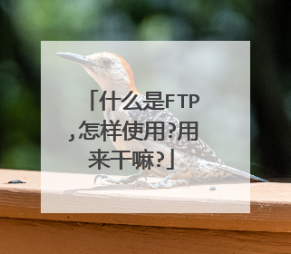什么是FTP,怎样使用?用来干嘛?