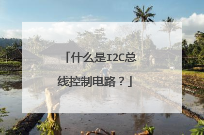 什么是I2C总线控制电路？