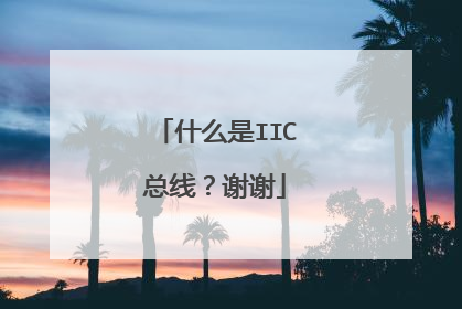 什么是IIC总线?谢谢