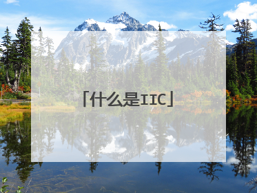 什么是IIC