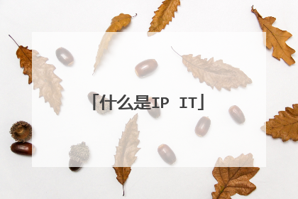 什么是IP IT