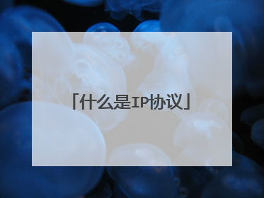 什么是IP协议