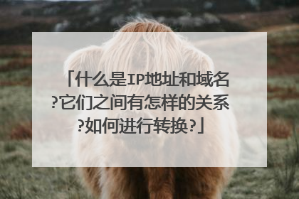 什么是IP地址和域名?它们之间有怎样的关系?如何进行转换?