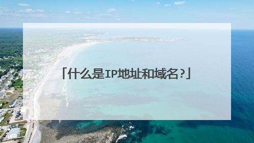 什么是IP地址和域名?