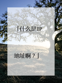 什么是IP地址啊？
