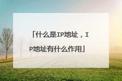 什么是IP地址，IP地址有什么作用