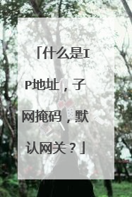 什么是IP地址，子网掩码，默认网关？
