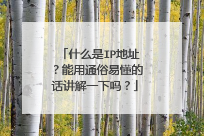 什么是IP地址？能用通俗易懂的话讲解一下吗？