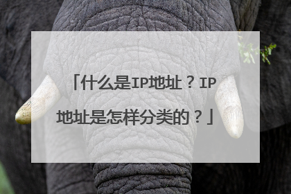 什么是IP地址？IP地址是怎样分类的？