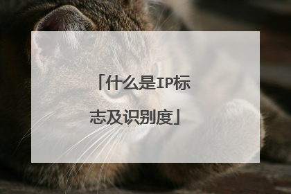 什么是IP标志及识别度