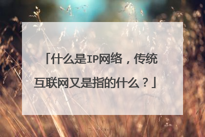 什么是IP网络，传统互联网又是指的什么？