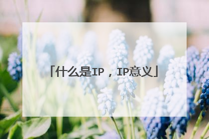 什么是IP,IP意义